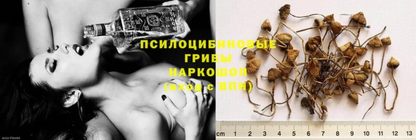 дурь Покачи