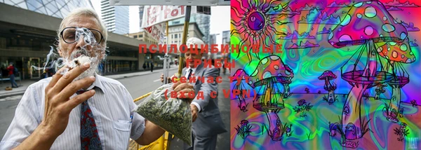 дурь Покачи